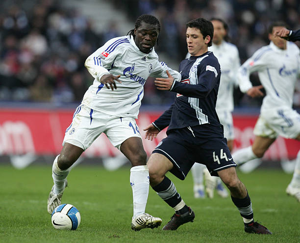 观赏性可能 观赏性可能